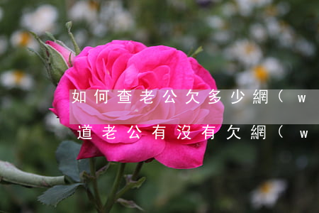 如何查老公欠多少網(wǎng)貸(怎么知道老公有沒有欠網(wǎng)貸)