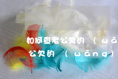 如何查老公欠的網(wǎng)貸(如何查老公欠的網(wǎng)貸)
