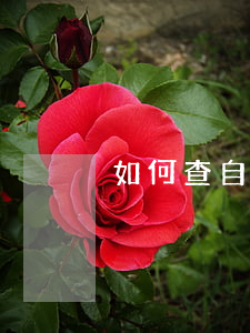 如何查自己是不是在逃人員(怎么查在逃人員)