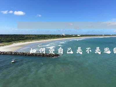 如何查自己是不是逃犯(逃犯怎么查詢)