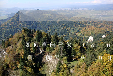 如何查自己欠網(wǎng)貸沒有(怎樣查有沒有欠網(wǎng)貸)