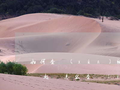 如何查詢(xún)被哪家網(wǎng)貸起訴 怎么查詢(xún)被網(wǎng)貸