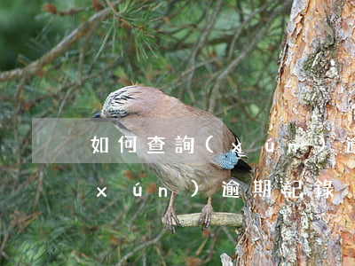 如何查詢(xún)逾期記錄-如何查詢(xún)逾期記錄