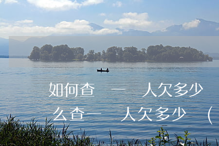 如何查詢一個人欠多少網(wǎng)貸(怎么查一個人欠多少網(wǎng)貸)