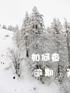 如何查詢京東逾期記錄(京東逾期多久上征信?逾期幾天上征信)