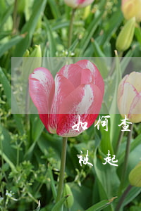 如何查詢他人是否被起訴(如何查詢他人是否被起訴)