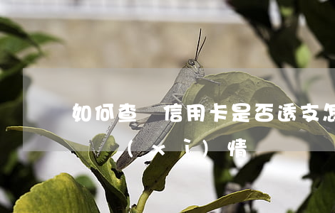 如何查詢信用卡是否透支(怎么查信用卡支出詳細(xì)情況)