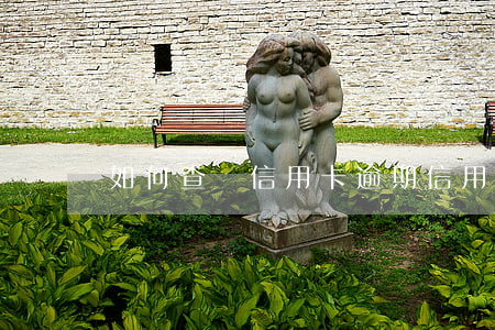 如何查詢信用卡逾期（信用卡逾期怎么反思）