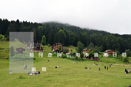 如何查詢信用卡逾期日期(信用卡怎么查是否逾期)