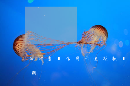 如何查詢信用卡逾期款項(怎么查詢信用卡逾期)