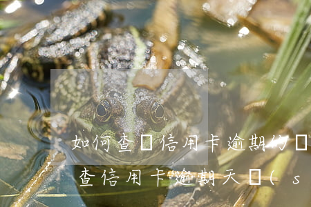 如何查詢信用卡逾期的時(shí)間(怎么查信用卡逾期天數(shù))