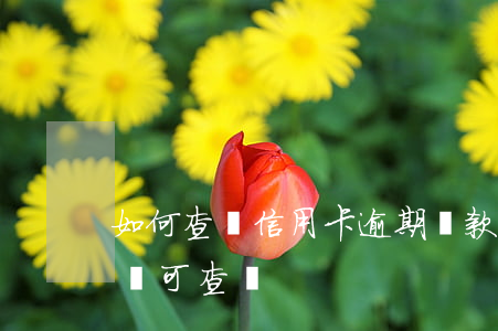 如何查詢信用卡逾期還款金額(逾期還款的金額可()查詢)