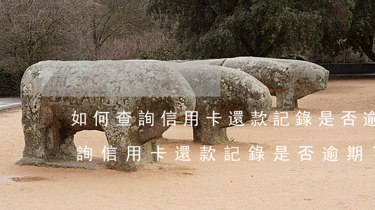 如何查詢信用卡還款記錄是否逾期-如何查詢信用卡還款記錄是否逾期了