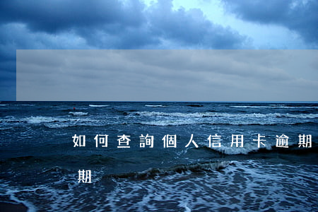 如何查詢個人信用卡逾期(怎樣查詢信用卡逾期)