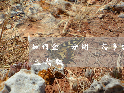 如何查詢分期樂欠多少錢(樂分期怎么查看自己欠款)