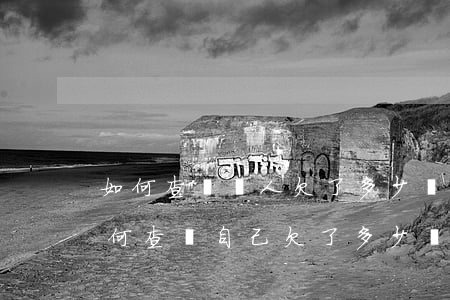 如何查詢別人欠了多少網(wǎng)貸(如何查詢自己欠了多少網(wǎng)貸)