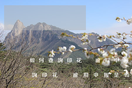 如何查詢印花稅逾期申報是否成功-如何查詢印花稅逾期申報是否成功了