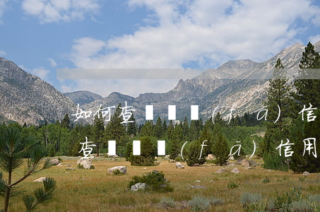 如何查詢廣發(fā)信用卡是否逾期 如何查詢廣發(fā)信用卡是否逾期過