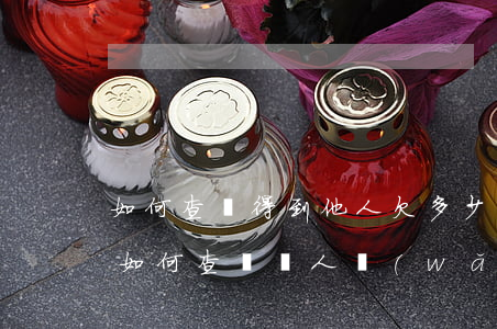 如何查詢得到他人欠多少網(wǎng)貸(如何查詢別人網(wǎng)貸欠多少)