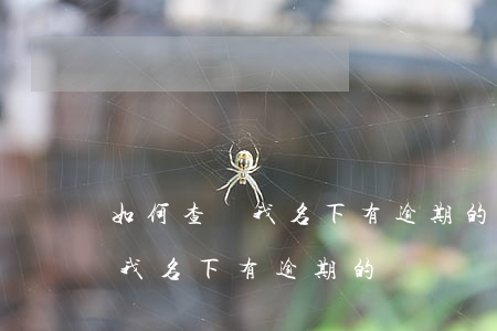 如何查詢我名下有逾期的錢沒還-如何查詢我名下有逾期的錢沒還完