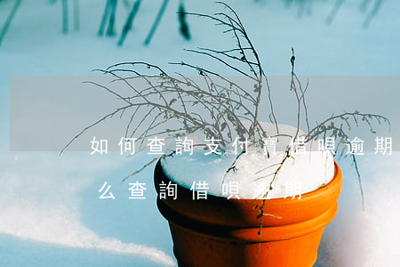 如何查詢支付寶借唄逾期次數(shù)(怎么查詢借唄逾期)
