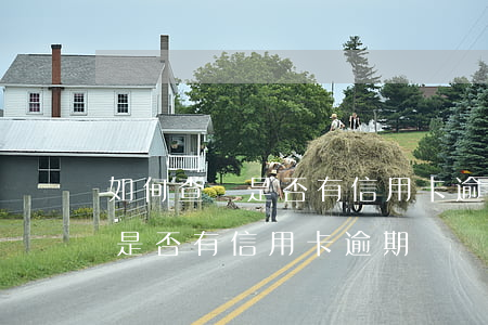 如何查詢是否有信用卡逾期記錄-如何查詢是否有信用卡逾期記錄呢