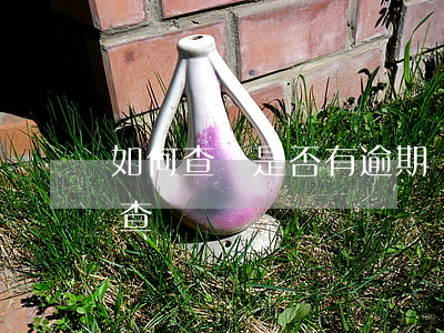 如何查詢是否有逾期記錄（怎樣查詢逾期記錄查詢）