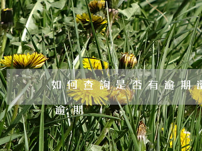 如何查詢是否有逾期還款(如何查詢自己是否逾期)
