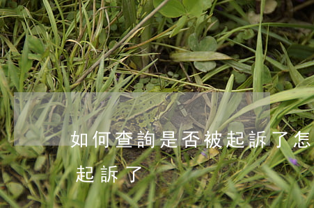 如何查詢是否被起訴了(怎么查詢自己是否被起訴了)