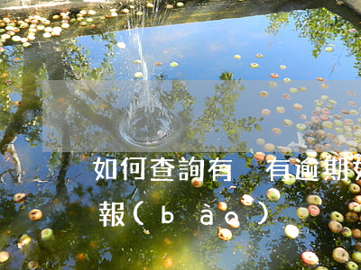 如何查詢有沒有逾期(如何查詢有沒有逾期申報(bào))