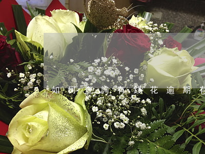 如何查詢有錢花逾期 有錢花逾期怎么算