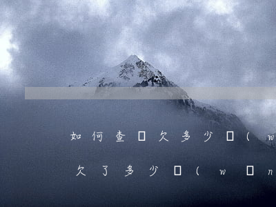如何查詢欠多少網(wǎng)貸(怎么查看欠了多少網(wǎng)貸)