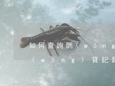 如何查詢網(wǎng)貸記錄，如何查詢網(wǎng)貸記錄查詢 官網(wǎng)