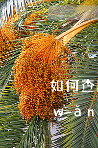 如何查詢網(wǎng)貸起訴通知-網(wǎng)貸逾期被起訴怎么查詢是否真的