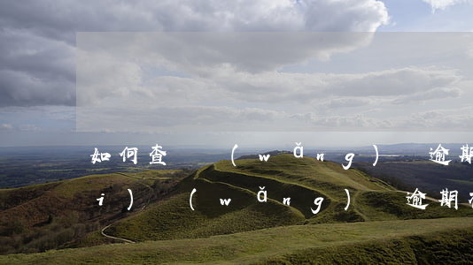 如何查詢網(wǎng)貸逾期平臺(tái)(網(wǎng)貸逾期被起訴怎么查詢是否真的)