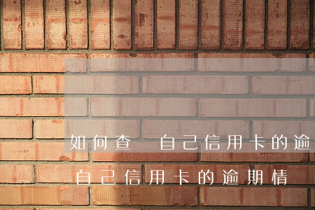 如何查詢自己信用卡的逾期情況-如何查詢自己信用卡的逾期情況是否正常