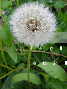 如何查詢自己是不是被起訴了(怎么查自己是否被起訴了)