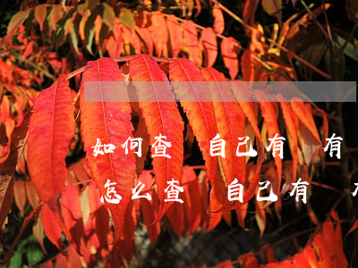 如何查詢自己有沒有網(wǎng)貸記錄，怎么查詢自己有沒有網(wǎng)貸記錄