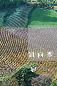 如何查詢自己被起訴(如何查詢自己被起訴信息)