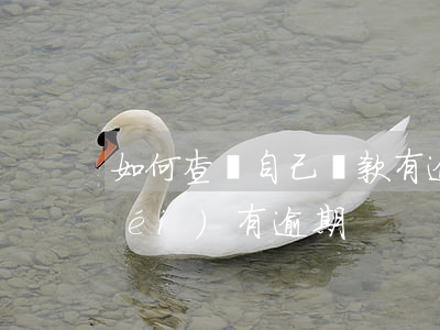 如何查詢自己貸款有逾期(怎么查詢有沒(méi)有逾期)