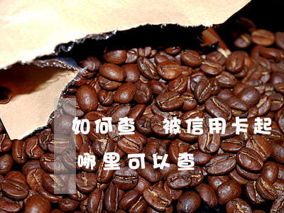 如何查詢被信用卡起訴(信用卡欠款被起訴在哪里可以查詢)