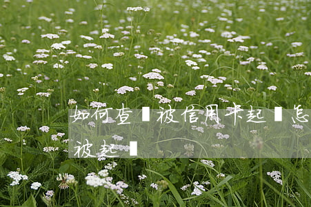 如何查詢被信用卡起訴(怎么查詢信用卡是否被起訴)