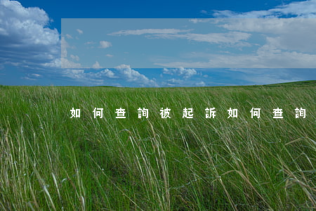 如何查詢被起訴，如何查詢被起訴信息