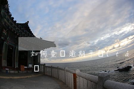 如何查詢逾期平臺(tái)(逾期在哪里查詢)