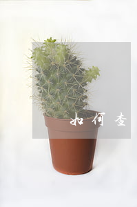 如何查詢逾期還款記錄(如何查自己各種逾期記錄)