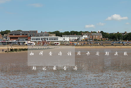 如何查询信用卡逾期次数(如何查询信用卡逾期记录查询)