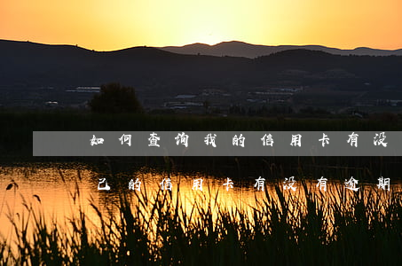 如何查询我的信用卡有没有逾期(怎么查询自己的信用卡有没有逾期)