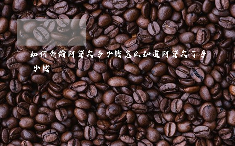 如何查询网贷欠多少钱(怎么知道网贷欠了多少钱)
