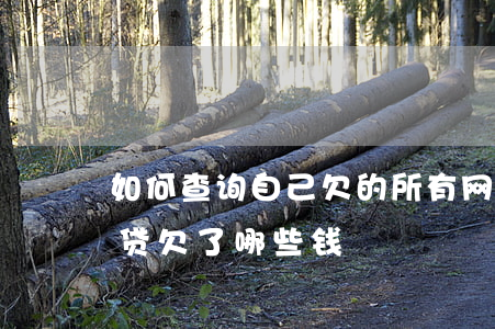 如何查询自己欠的所有网贷(如何查询自己网贷欠了哪些钱)