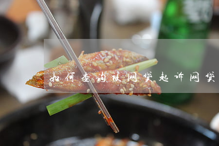 如何查询被网贷起诉（网贷怎么查询被起诉）